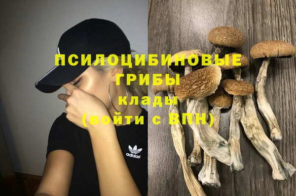 не бодяженный Козловка