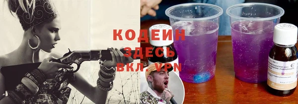 шишки Кодинск
