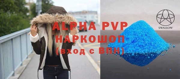 шишки Кодинск