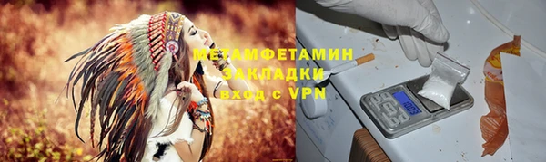 шишки Кодинск