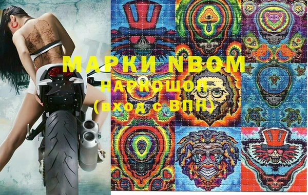 шишки Кодинск