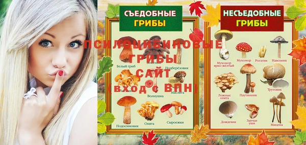 шишки Кодинск
