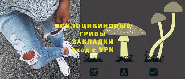 шишки Кодинск