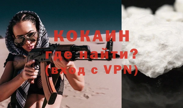 шишки Кодинск