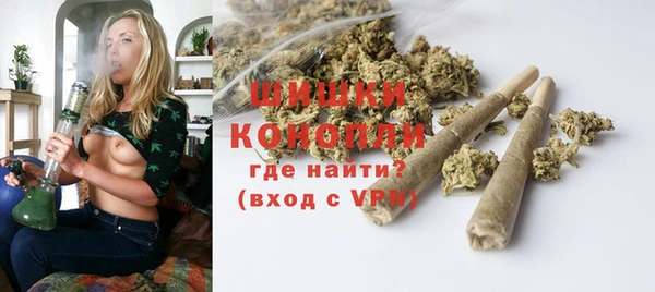 шишки Кодинск