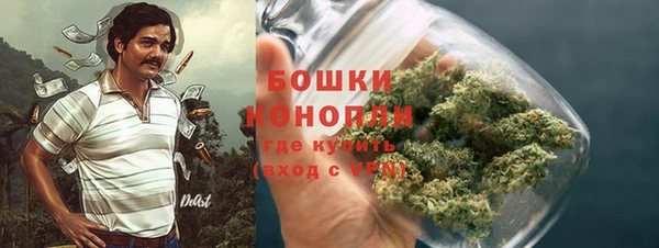 шишки Кодинск