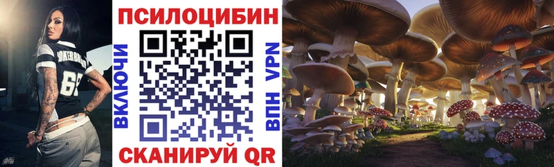 Галлюциногенные грибы Cubensis  Усолье-Сибирское 