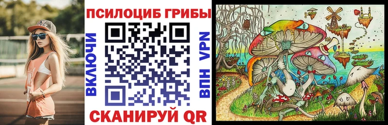 Галлюциногенные грибы Psilocybine cubensis Усолье-Сибирское