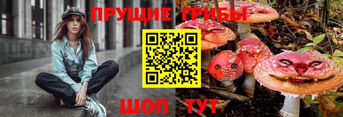Усолье-Сибирское  Псилоцибиновые грибы Cubensis  как найти закладки  Псилоцибиновые грибы MAGIC MUSHROOMS  Вход с VPN 